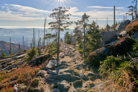 Gemeinde Neureichenau Landkreis Freyung-Grafenau Plöckenstein (Dirschl Johann) Deutschland FRG